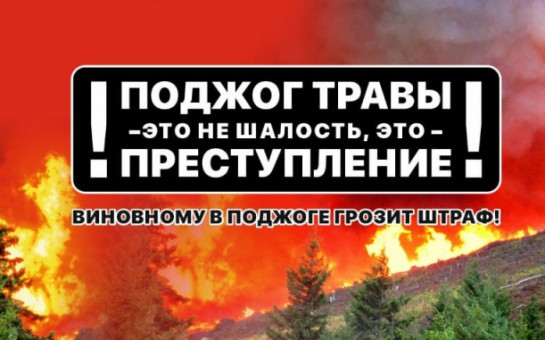 Берегите лес от огня